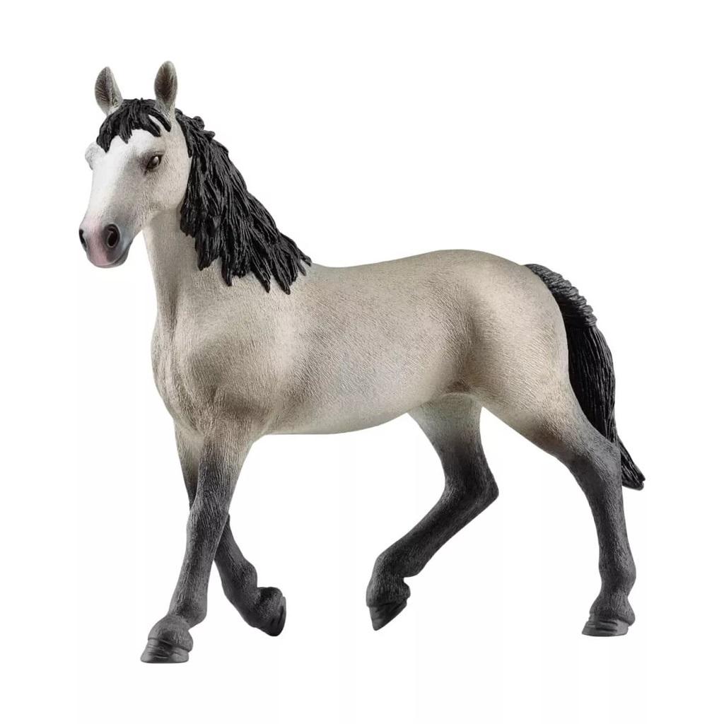 Klacz Rasy Cheval de Selle Francais SLH13955