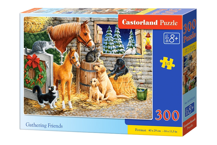 Puzzle 300 Gathering Friends BN B-030255