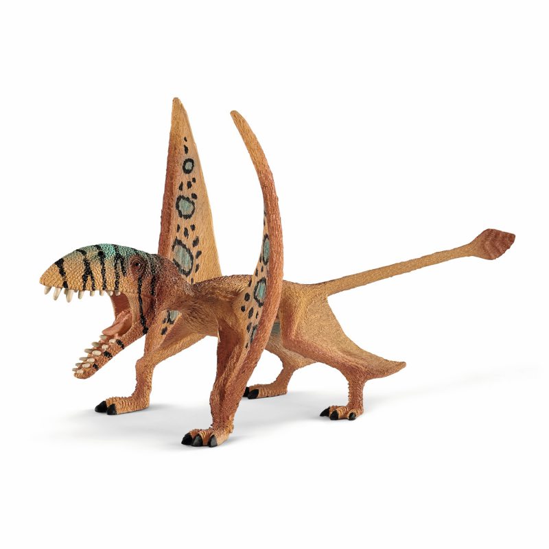Dimorphodon SLH15012