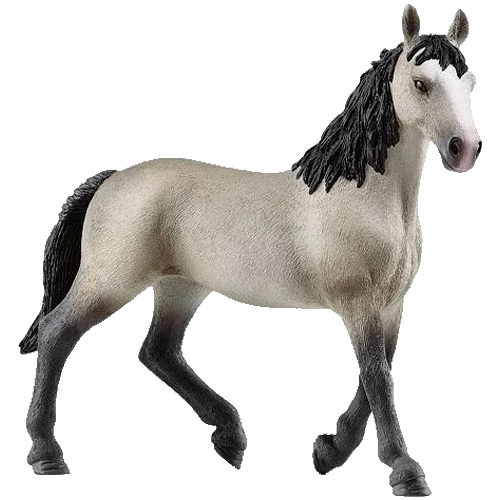 Klacz Rasy Cheval De Selle Francais SLH13955