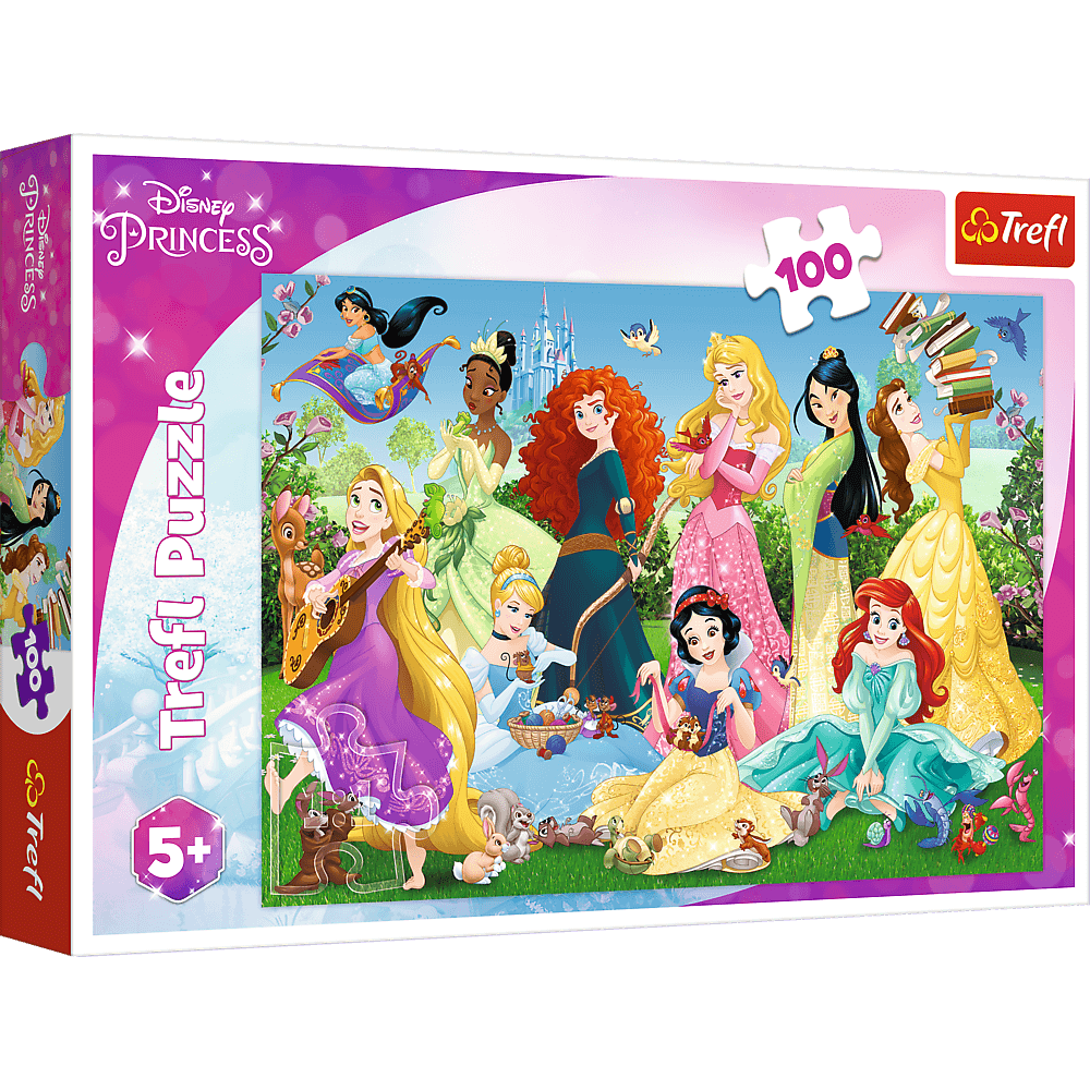 Puzzle 100 Czarujące Księżniczki 16417