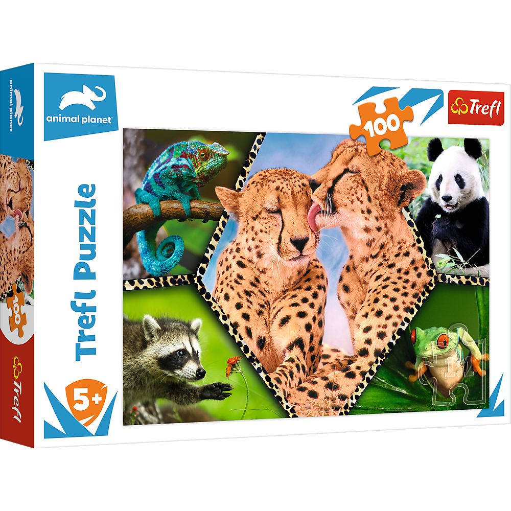Puzzle 100 Piękno natury 16424