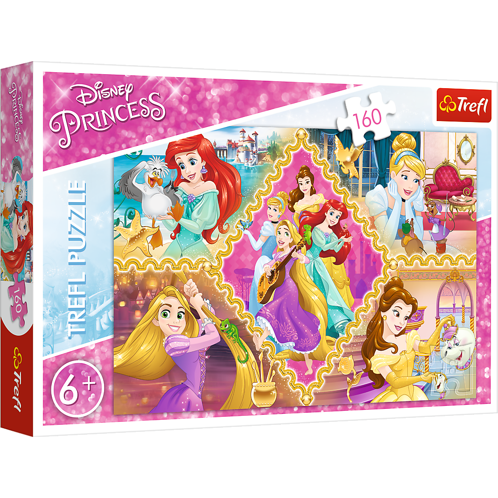 Puzzle 160 Przygody księżniczek 15358