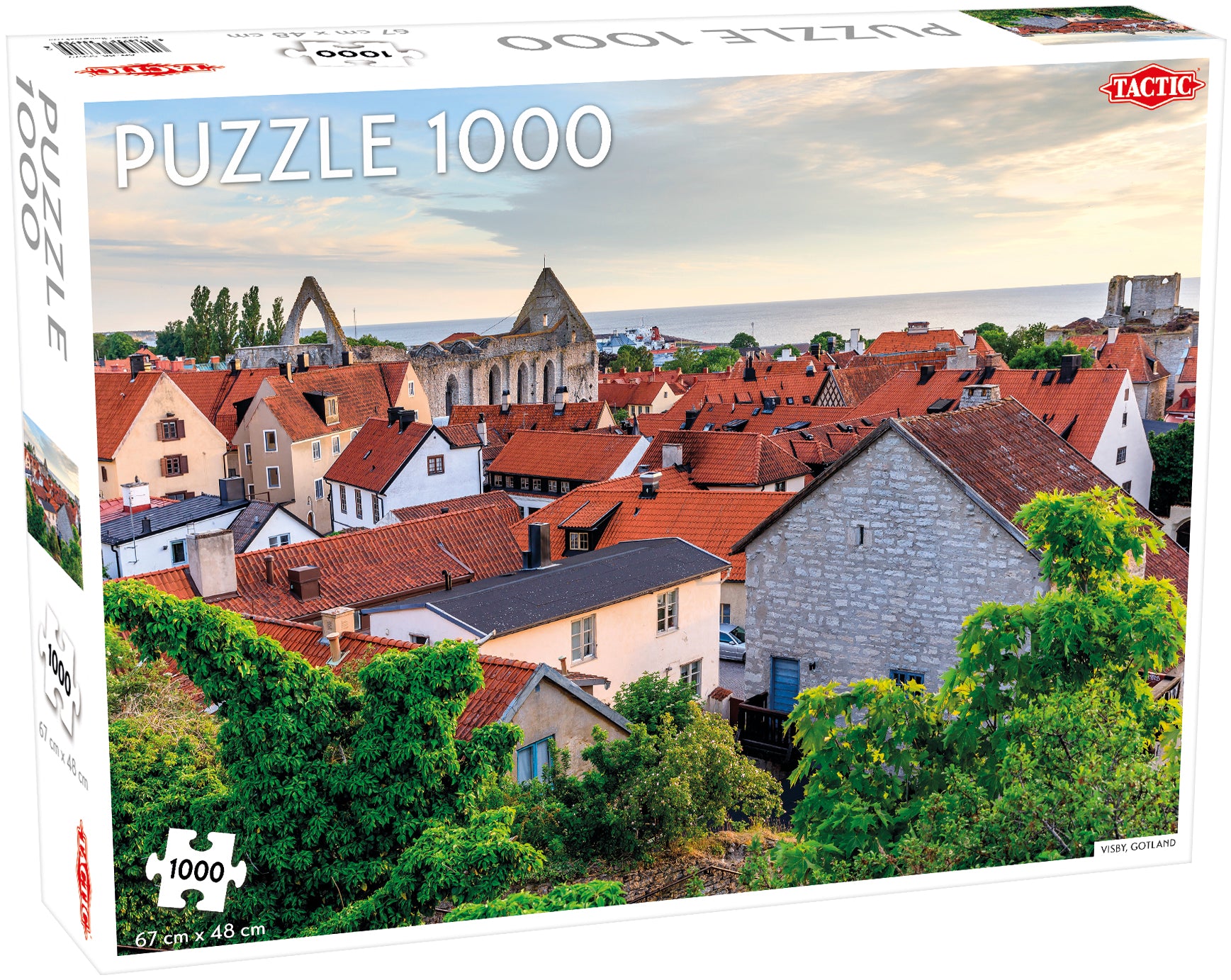 Puzzle 1000 el. Around the World Northern Stars Visby Gotland