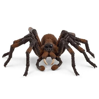 Aragog SLH13987