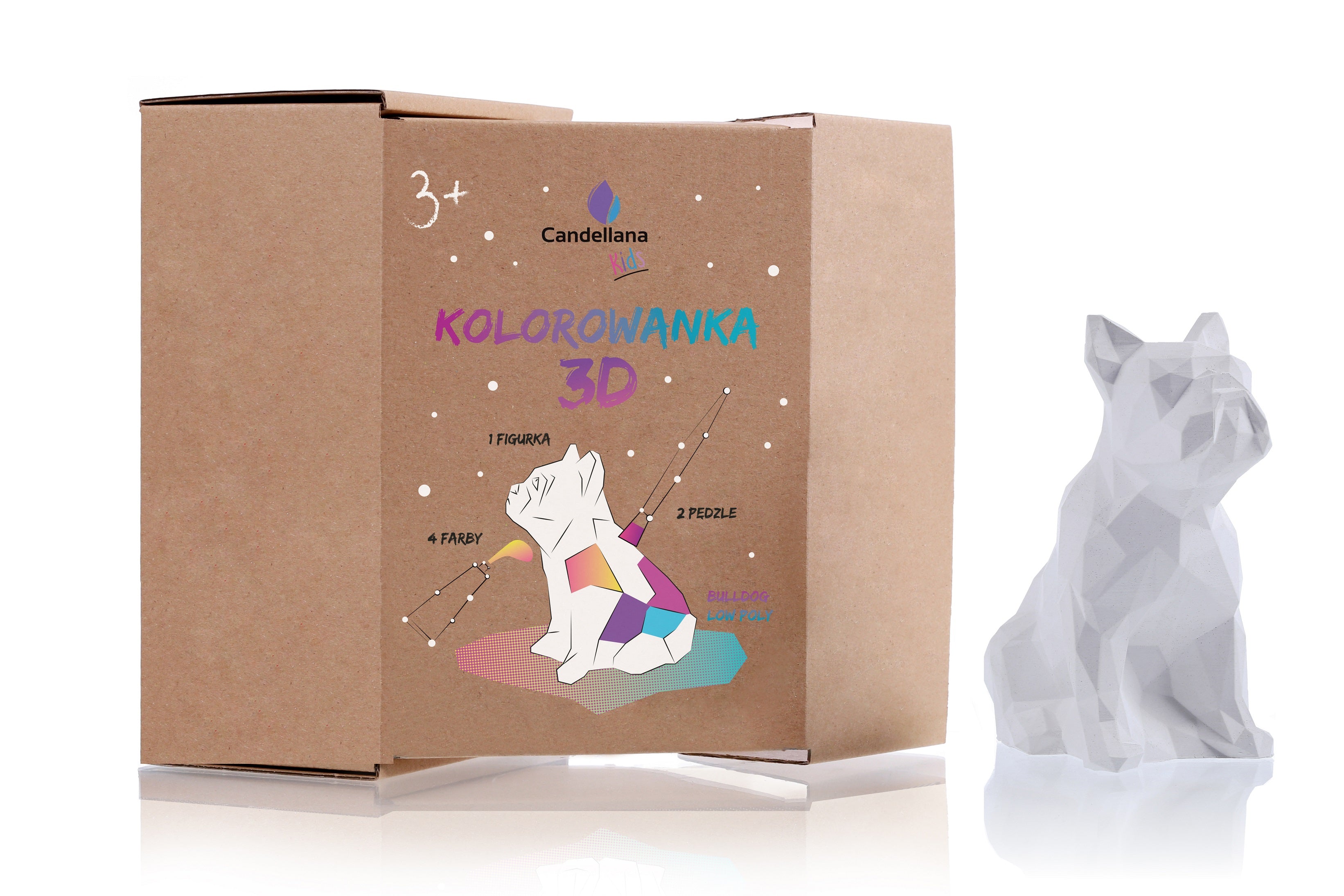 Kolorowanka 3D Buldog Low Poly