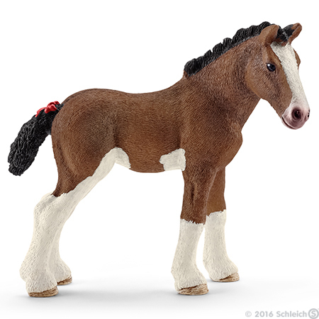 Źrebię rasy Clydesdale SLH13810