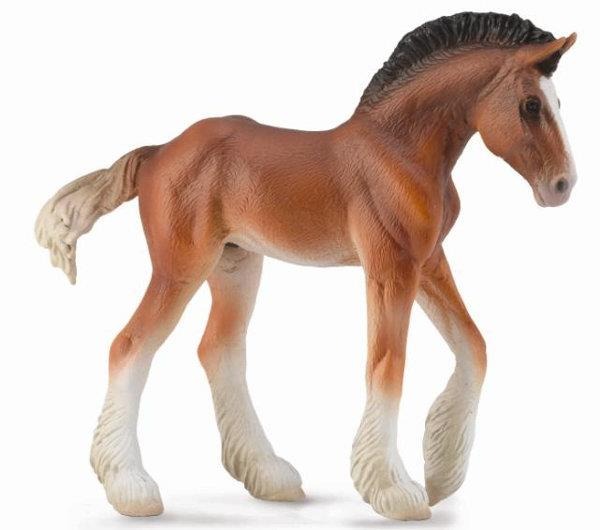 Źrebię Clydesdale maści bay 004-88625