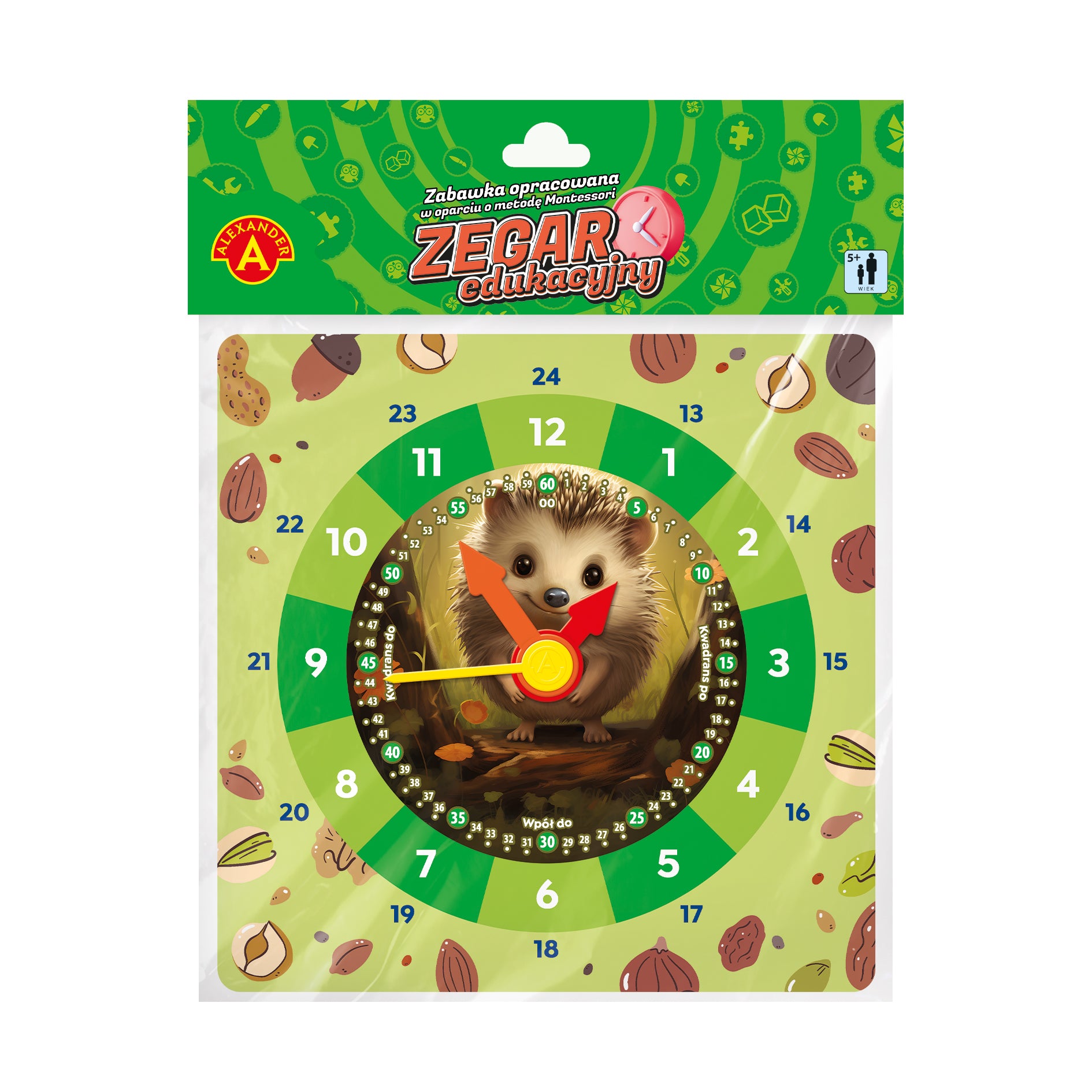 Zegar edukacyjny Jeż