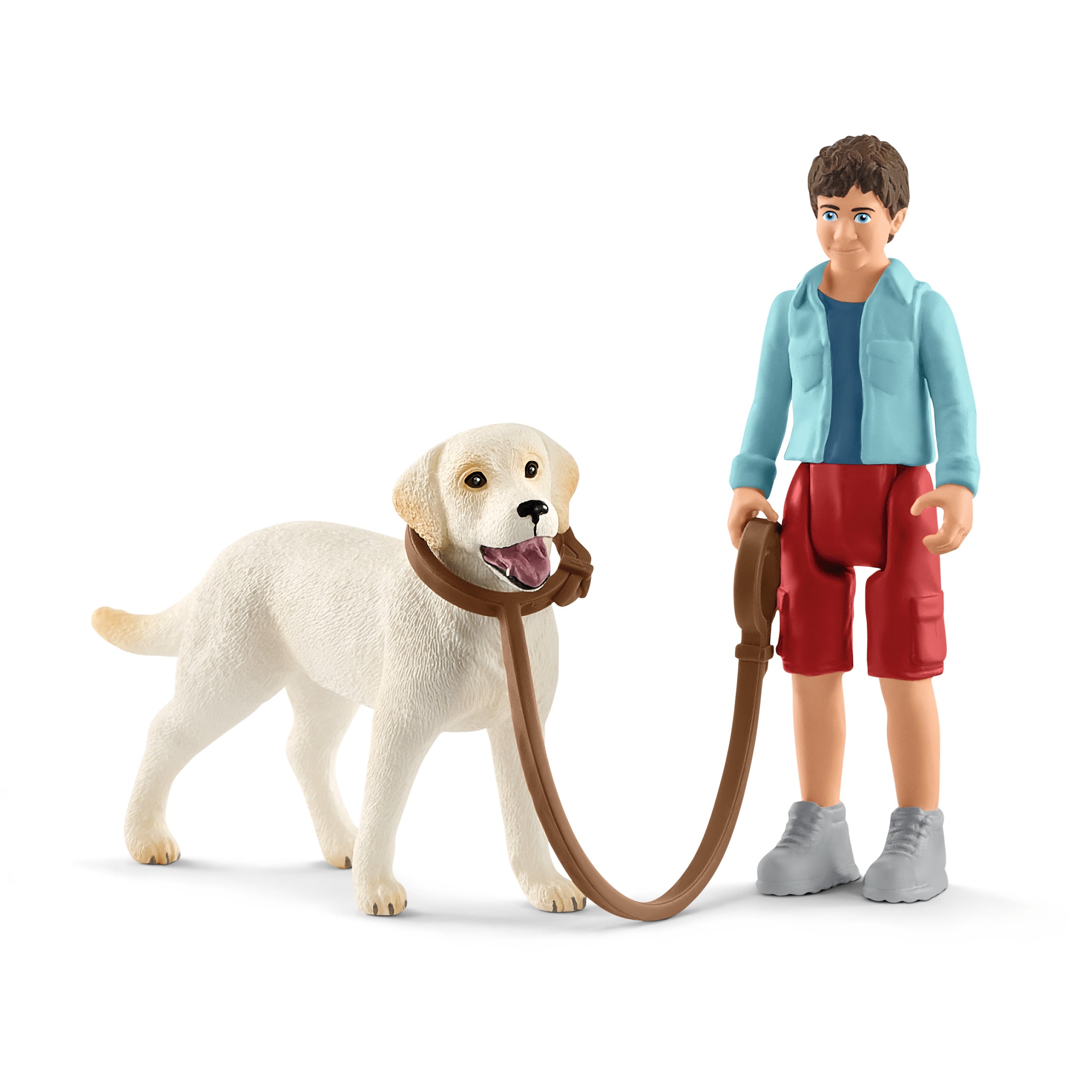 Spacer z labrador retriver SLH42478