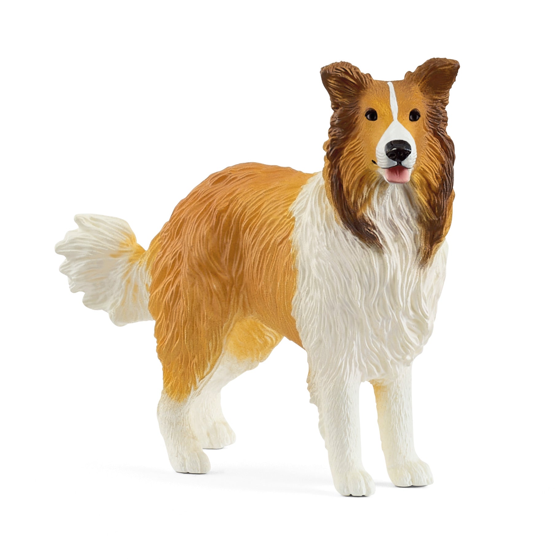 Pies Collie Farm World SLH13998