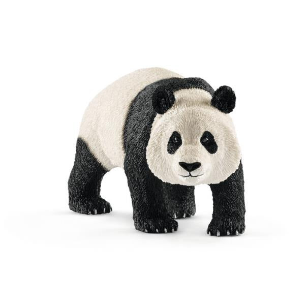 Panda Wielka Samiec SLH14772