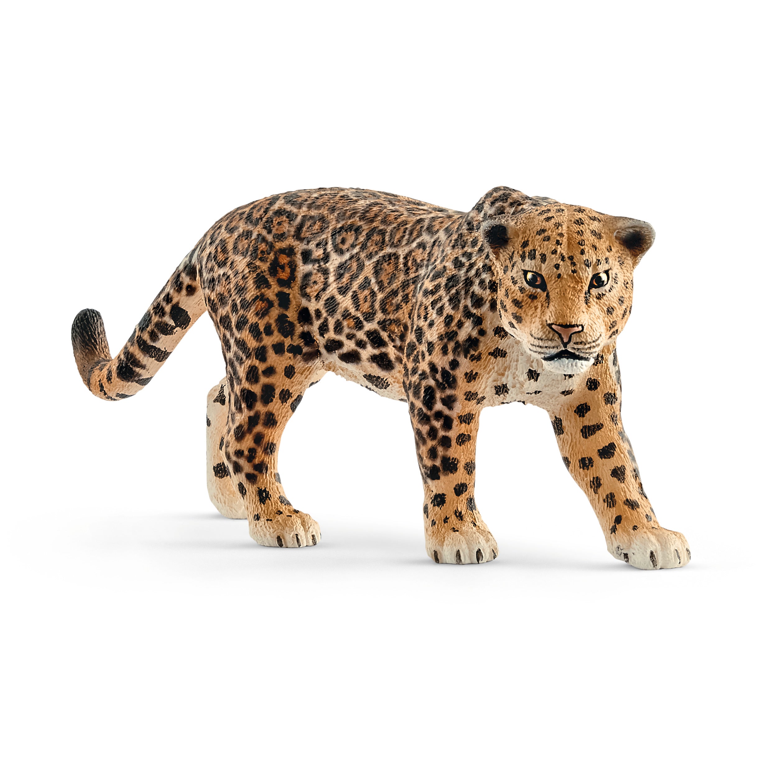 Jaguar SLH14769