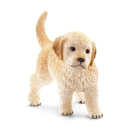 Golden Retriever szczeniak SLH16396