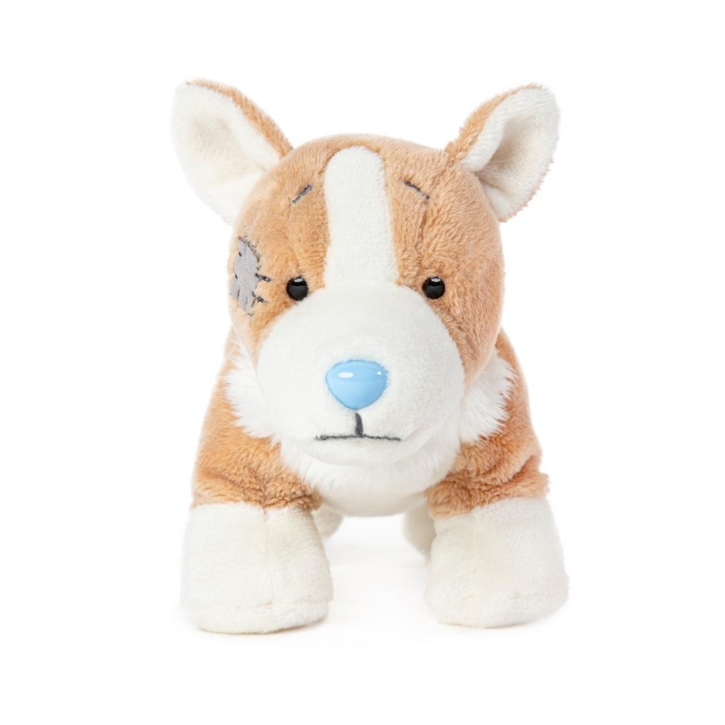 Maskotka Corgi Queenie przyjaciel niebieskiego noska