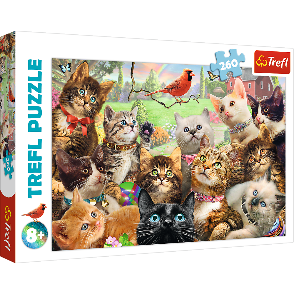 Puzzle 260 Kotki 13241
