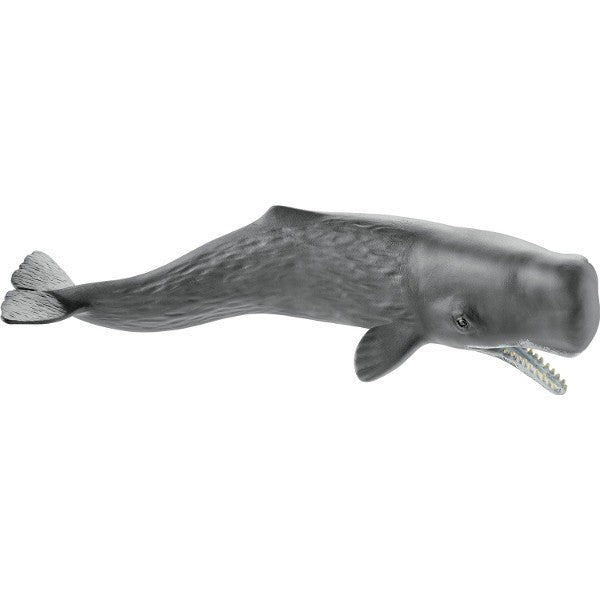 Kaszalot SLH14764