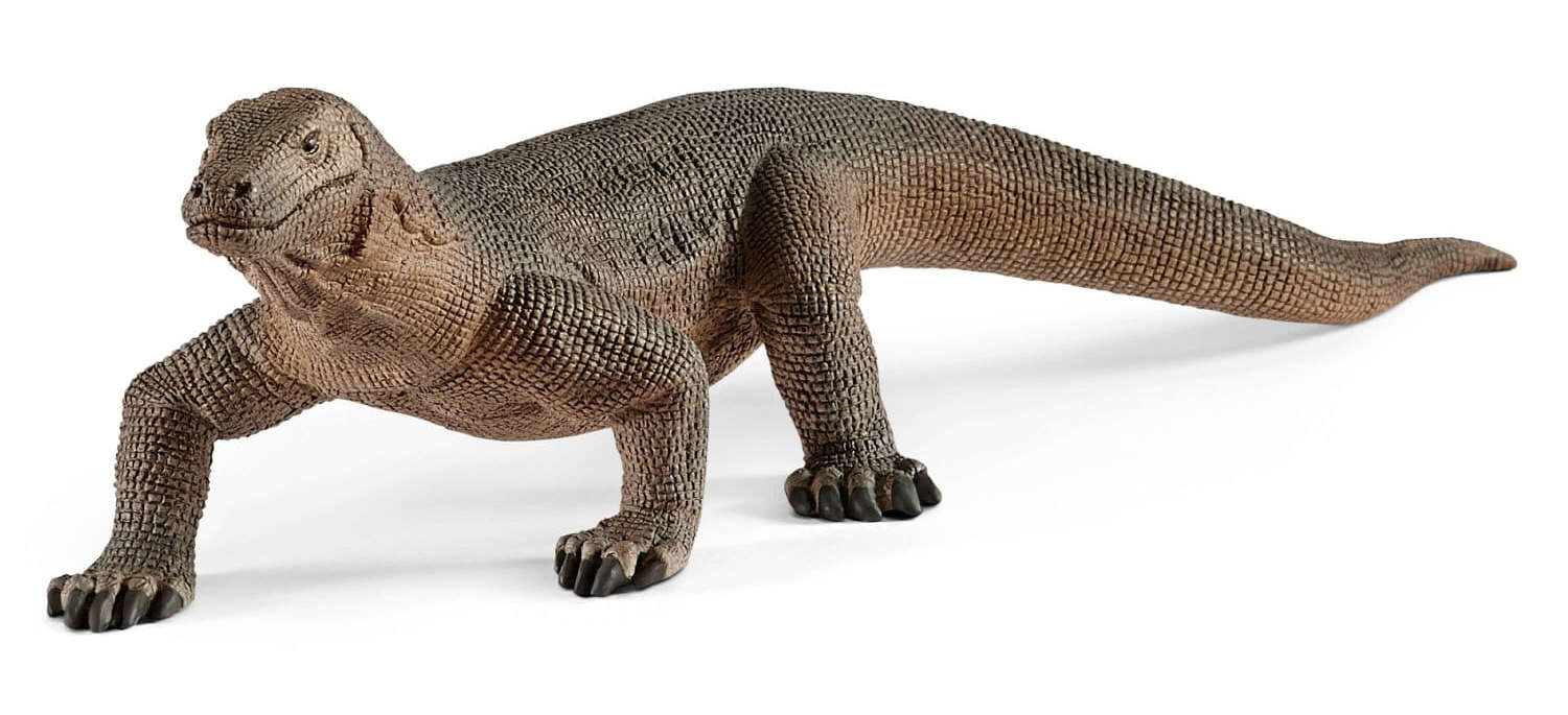 Waran komodo SLH14826
