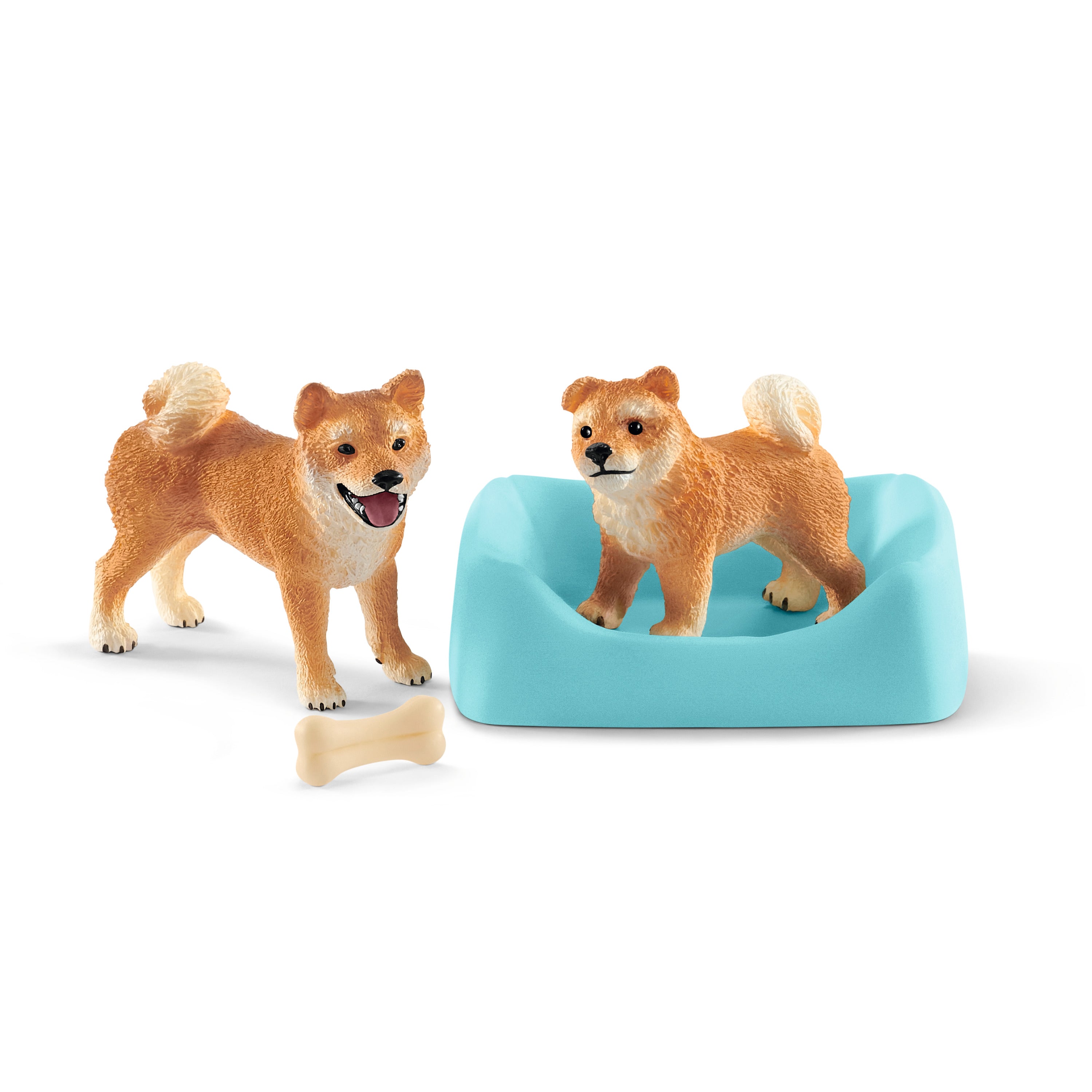 Shiba inu matka i szczenięta SLH42479