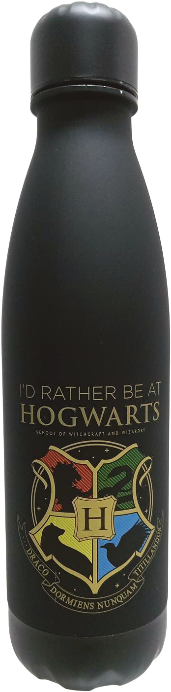 Bidon Harry Potter 500ml czarny HP00012