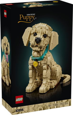 LEGO Icons Szczeniak Golden Retriever V29 11384
