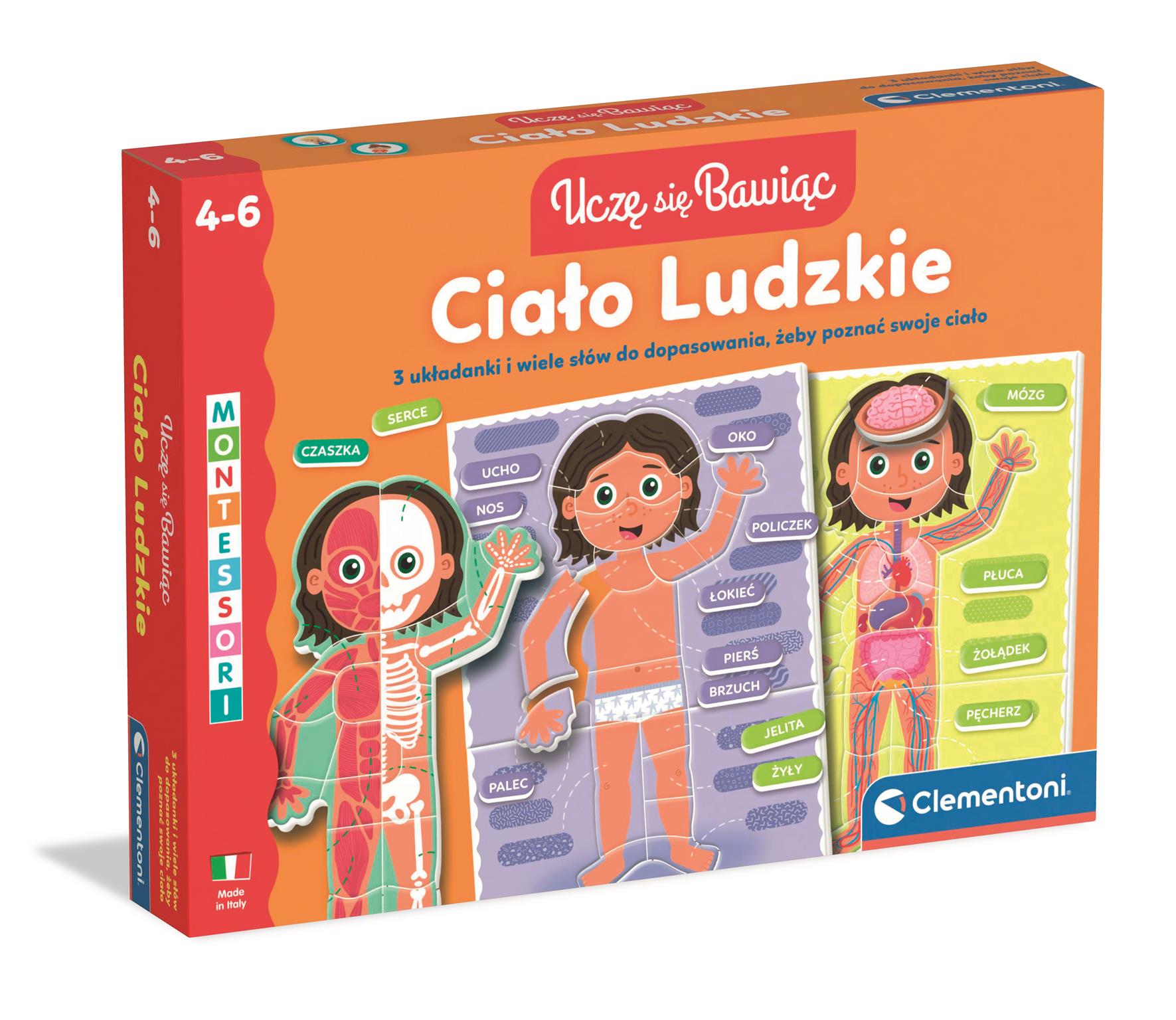 Ciało ludzkie 50432