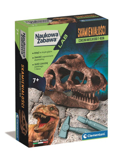 Skamieniałości czaszka T-REXA 50790
