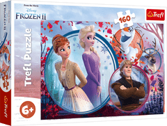 Puzzle 160 Siostrzana przygoda Frozen 2 15374