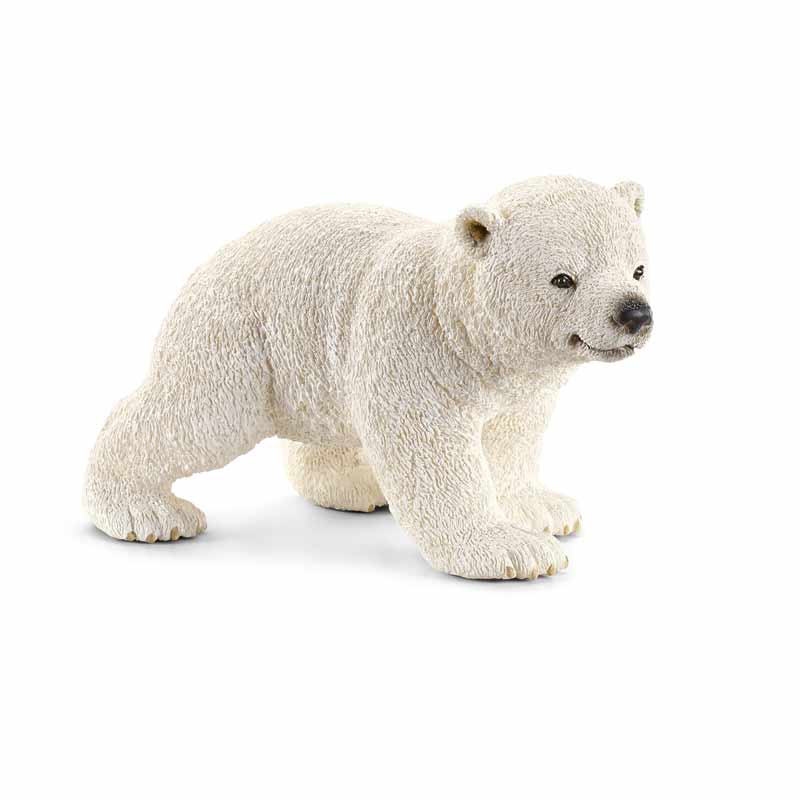 Młody miś polarny SLH14708