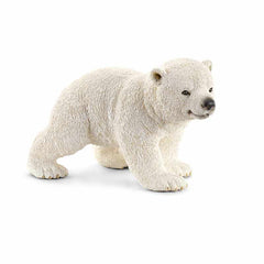 Młody miś polarny SLH14708
