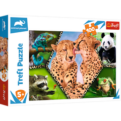 Puzzle 100 Piękno natury 16424