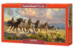 Puzzle 4000 Thunder Prairie C-400430-2