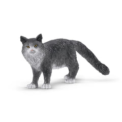 Kot maine coon SLH13893