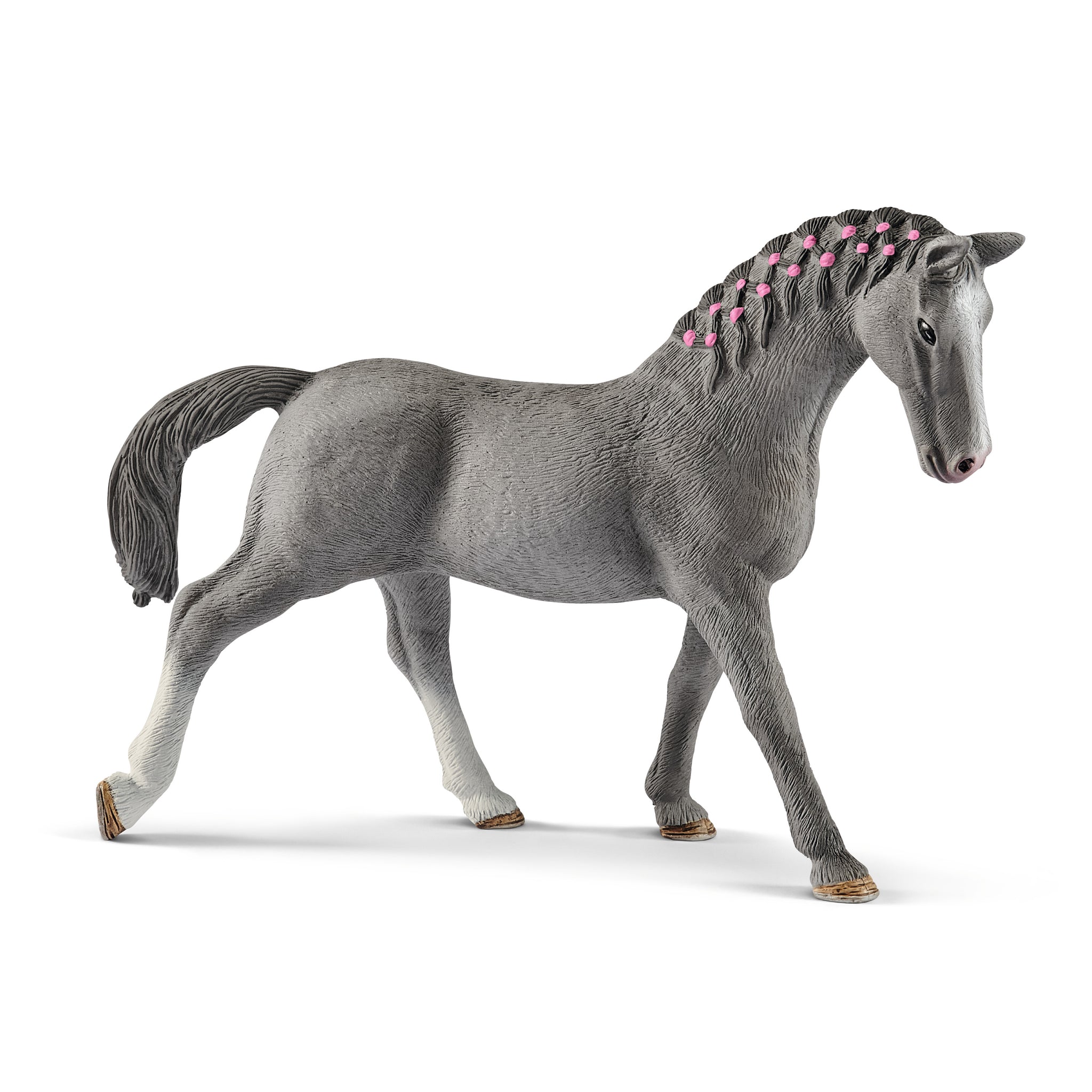 Trakehner klacz SLH13888