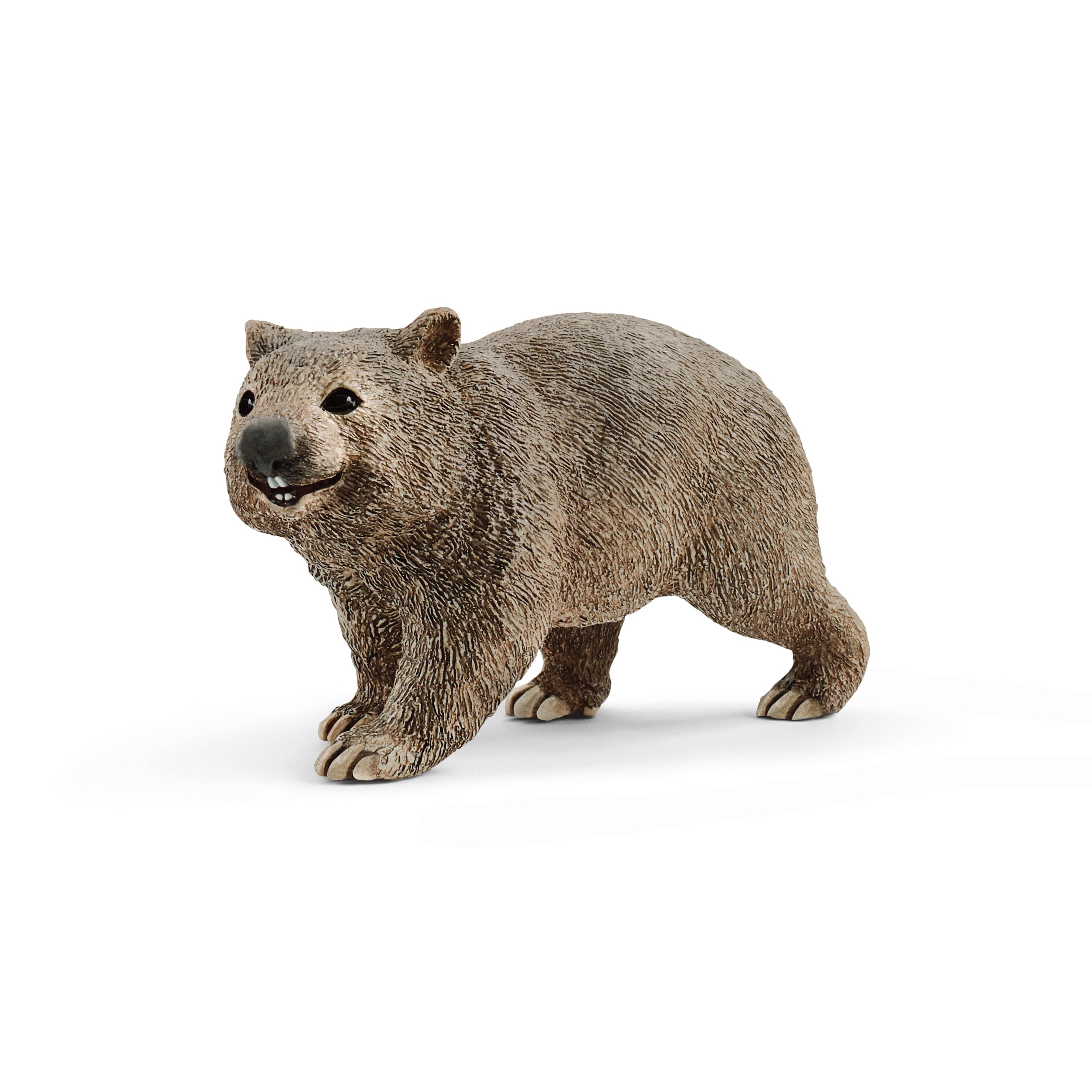Wombat SLH14834