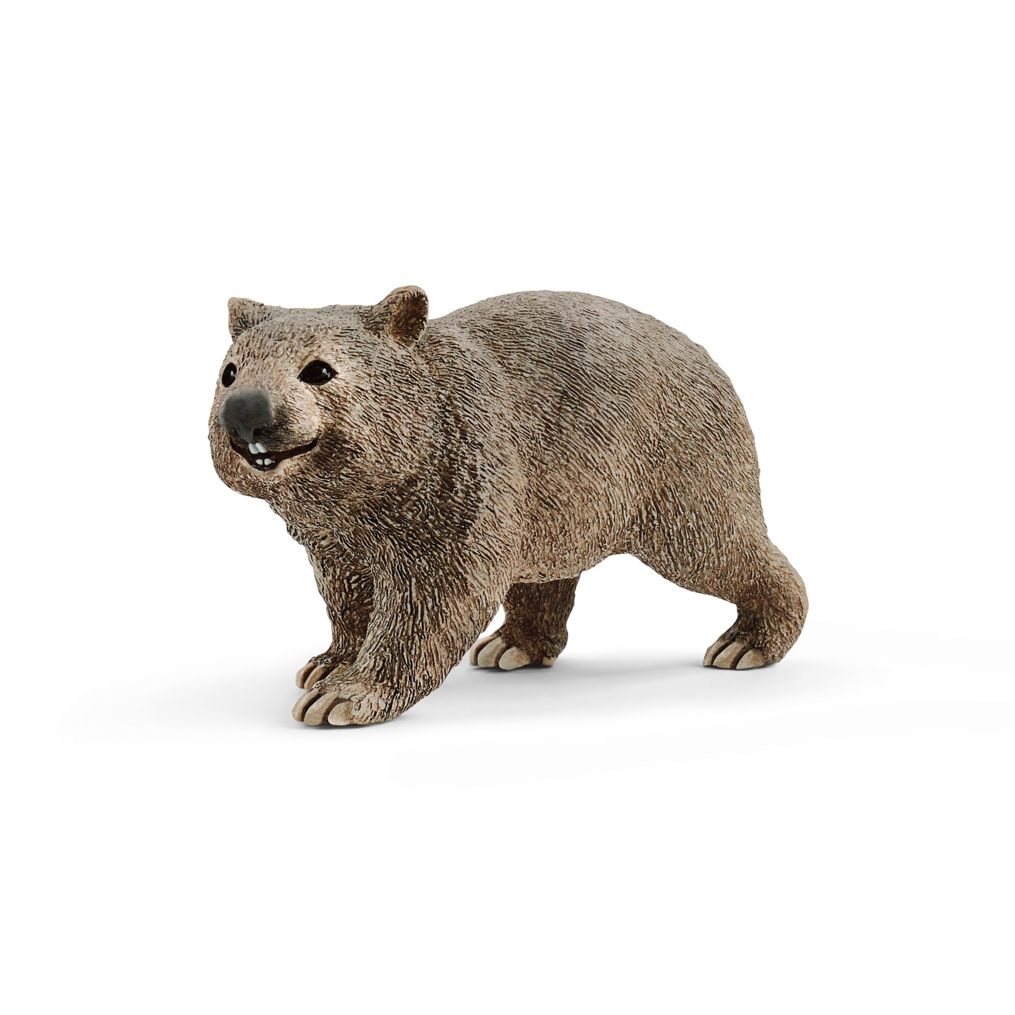 Wombat SLH14834
