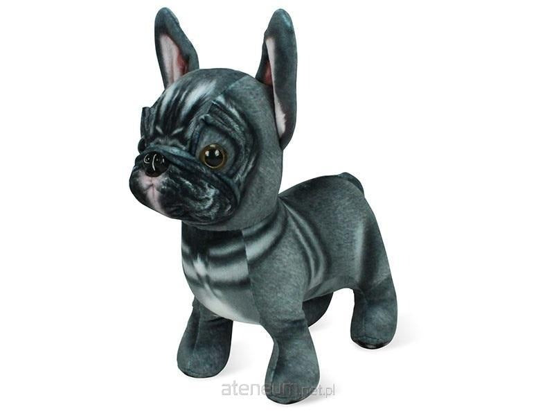 Maskotka Buldog