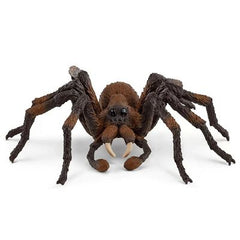 Aragog SLH13987