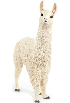 Lama SLH13920