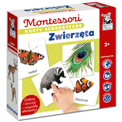 Karty sensoryczne Montessori Zwierzęta Kapitan Nauka