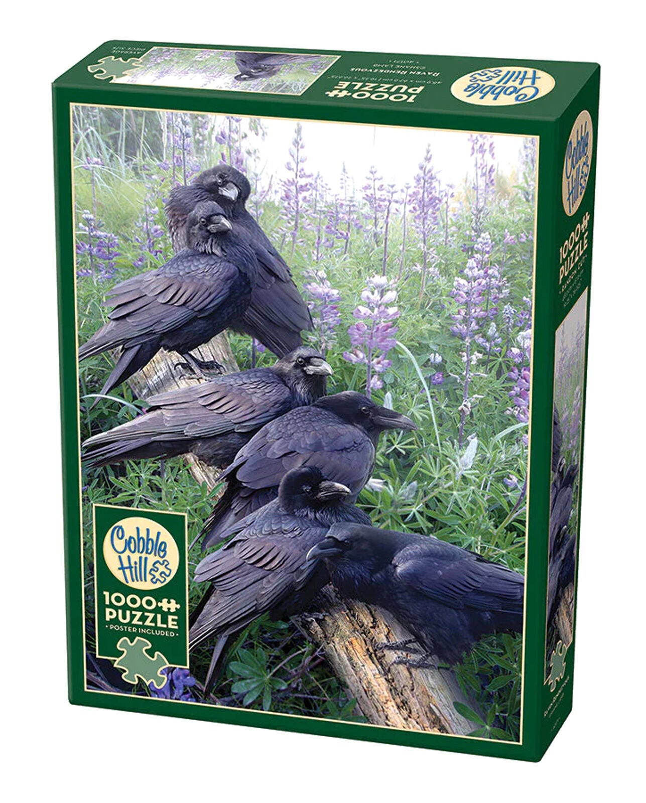 Puzzle 1000 Kruki 113135