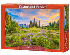 Puzzle 2000 Blossoms of Morning C-200863-2