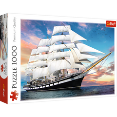 Puzzle 1000 Rejs 10604