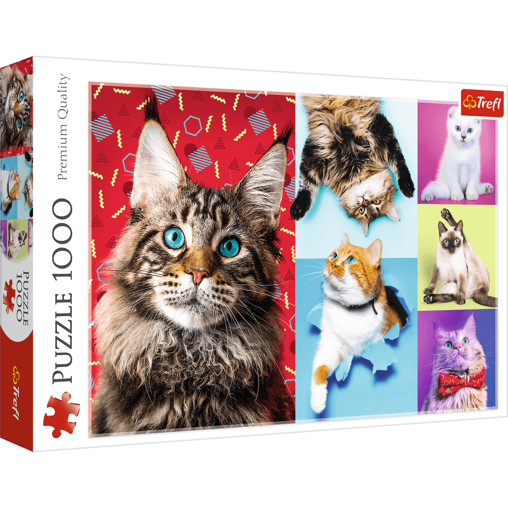 Puzzle 1000 Wesołe koty 10591