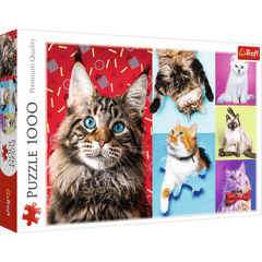 Puzzle 1000 Wesołe koty 10591