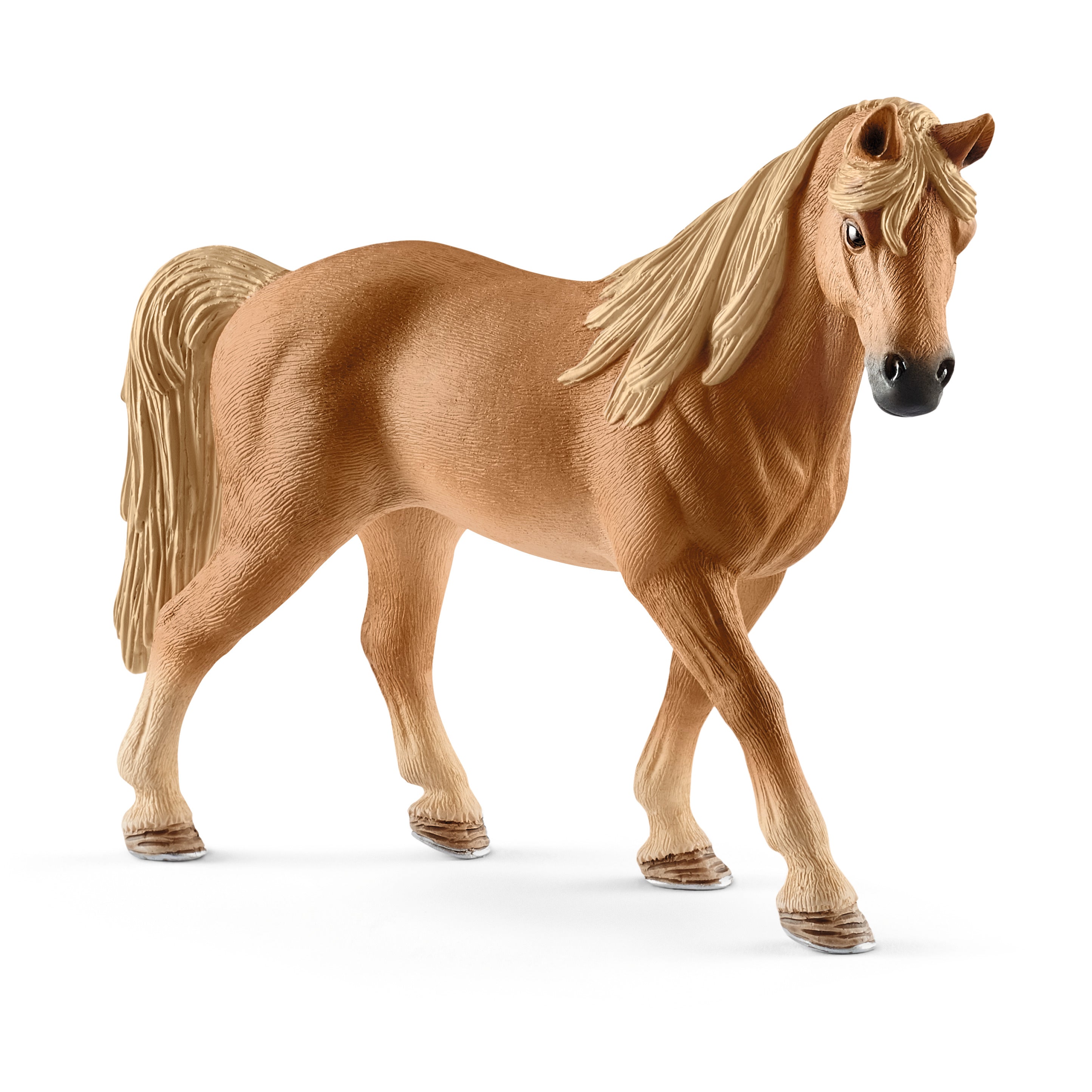 Klacz rasy Tennessee Walker SLH13833