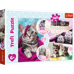Puzzle 160 Urocze kotki 15371