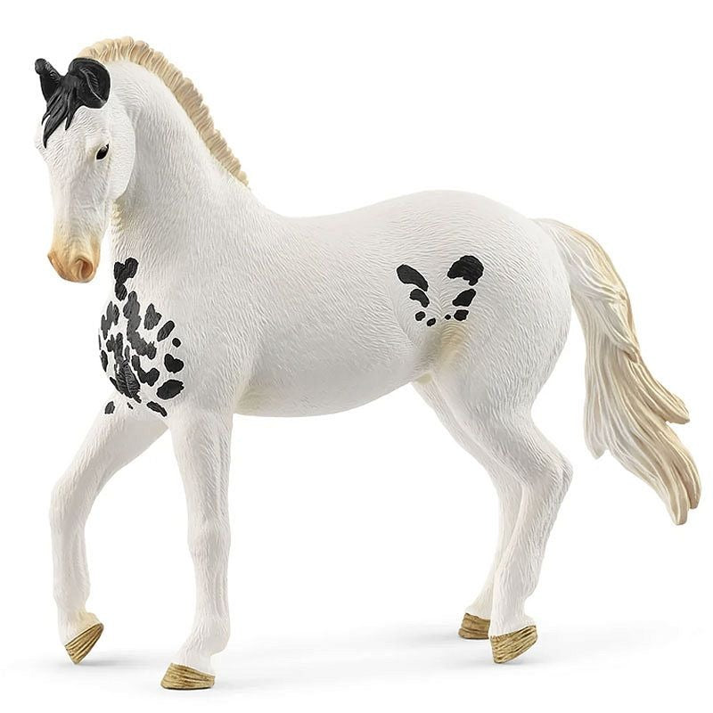 Ogier Marwari Horse Club SLH14898