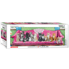 Puzzle 1000 panoramic Kitty Cat Couch 6010-5629