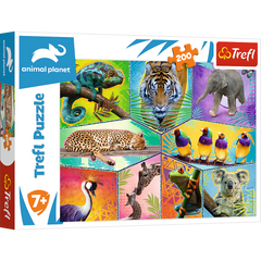 Puzzle 200 W egzotycznym świecie 13280